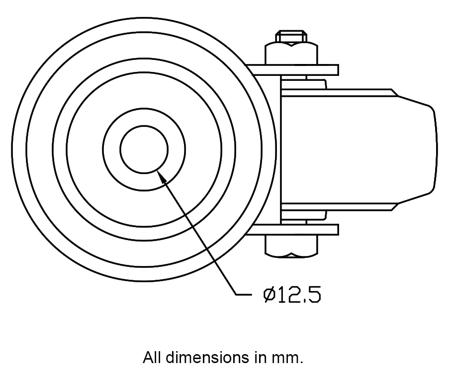 300 series 100mm swivel bolt hole 12,5mm - Plate dimensions