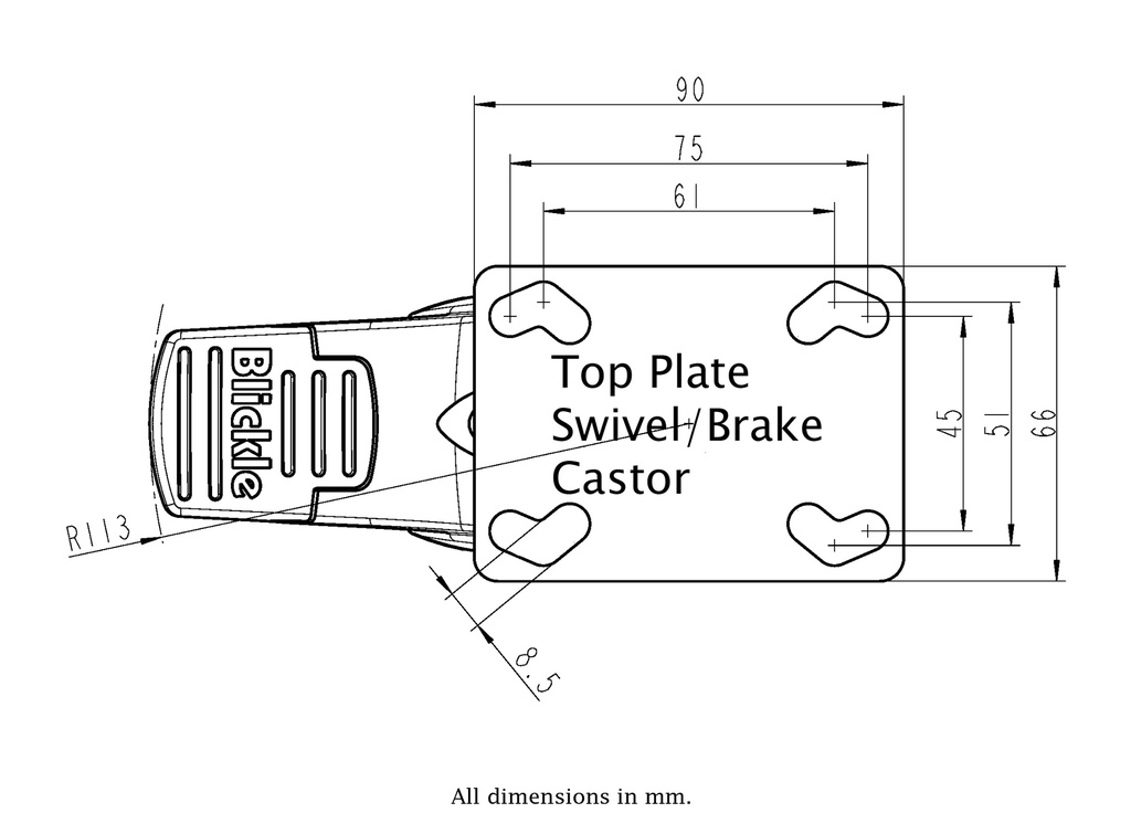 Plastic castor series 100mm stainless swivel/brake top plate 90x66mm - Plate dimensions