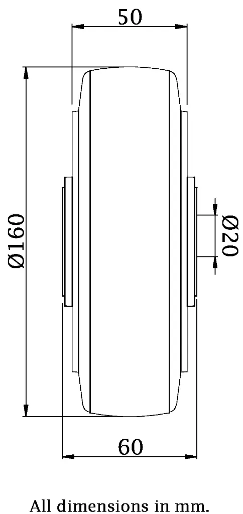 Dimensions for 984795.webp