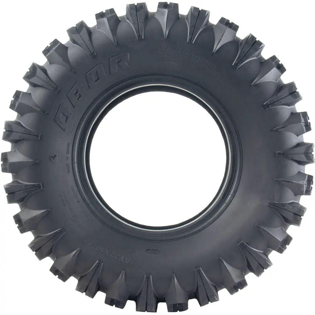 22x10.00-10 WP02 Side view (1024x1024).webp