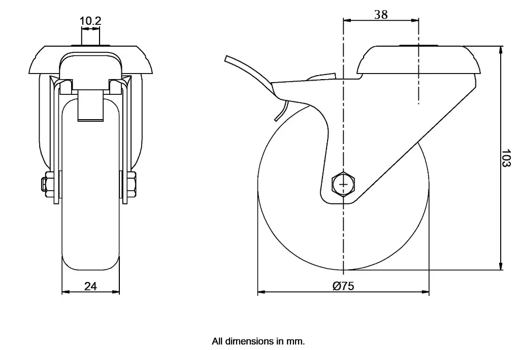 Dimensions for 964340.webp