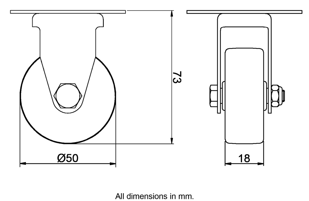 Dimensions for 1010616.webp