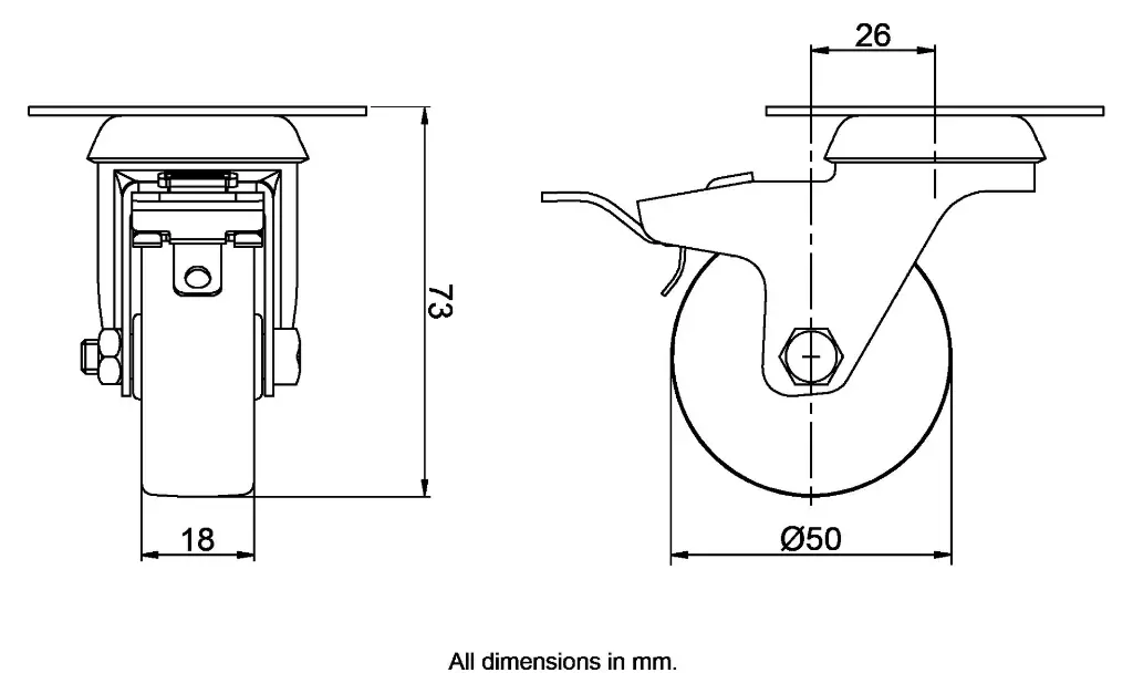 Dimensions for 1010617.webp