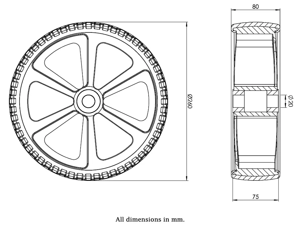 Dimensions for 1010551.webp