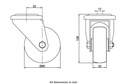 Dimensions for 990639.webp
