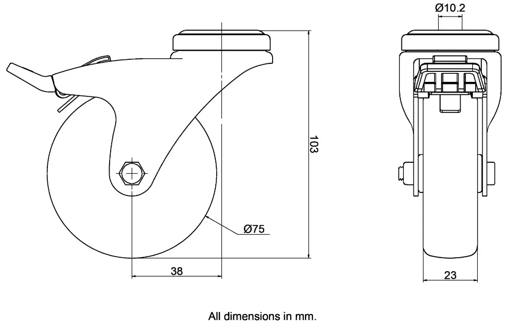 Dimensions for 983607.webp