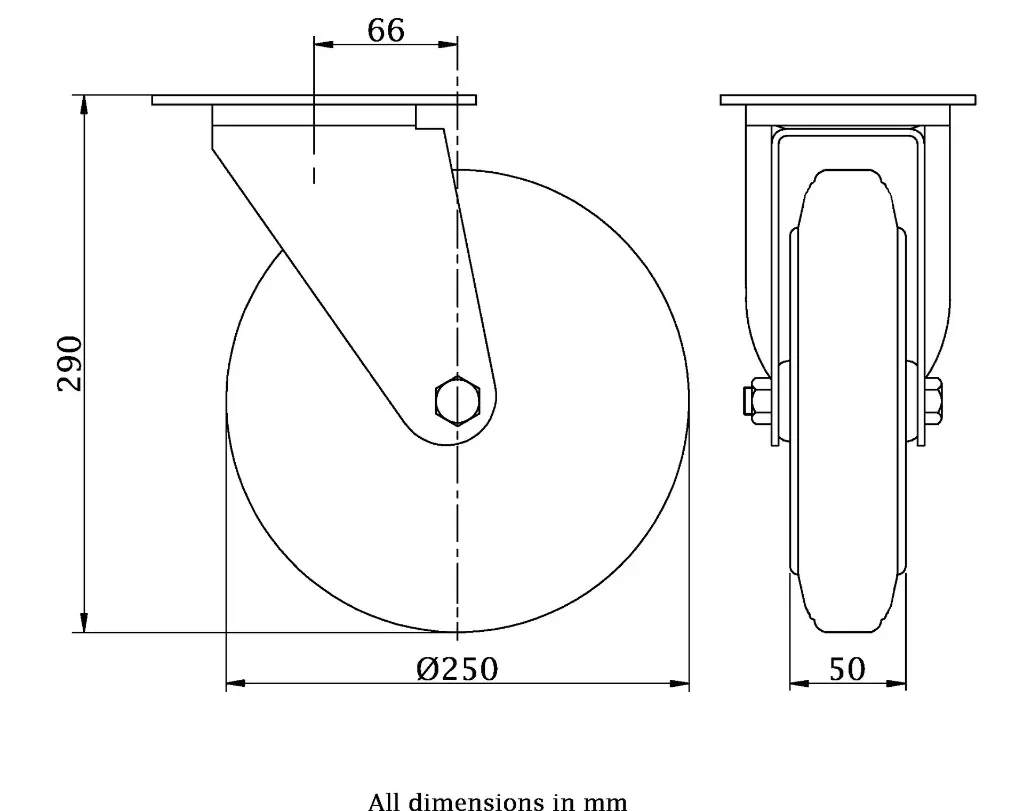 Dimensions for 991391.webp