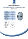 160mm Round groove wheel 20.5mm groove 2 ball bearing - Spec sheet