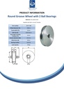 200mm Round groove wheel 20.5mm groove 2 ball bearing - Spec sheet