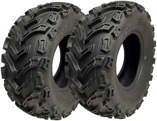 Set of 2 - 24x9.00-11 6pr Wanda Longhorn P3128 ATV tyre TL