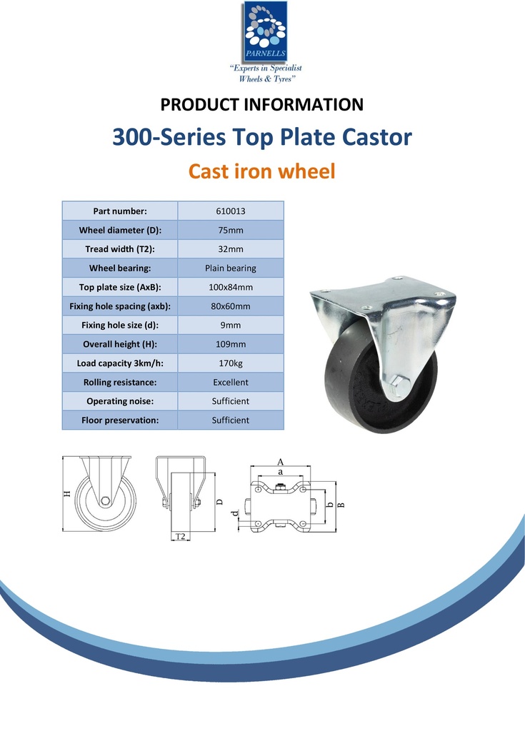 300 series 75mm fixed top plate 100x84mm castor with cast iron plain bearing wheel 170kg - Spec sheet