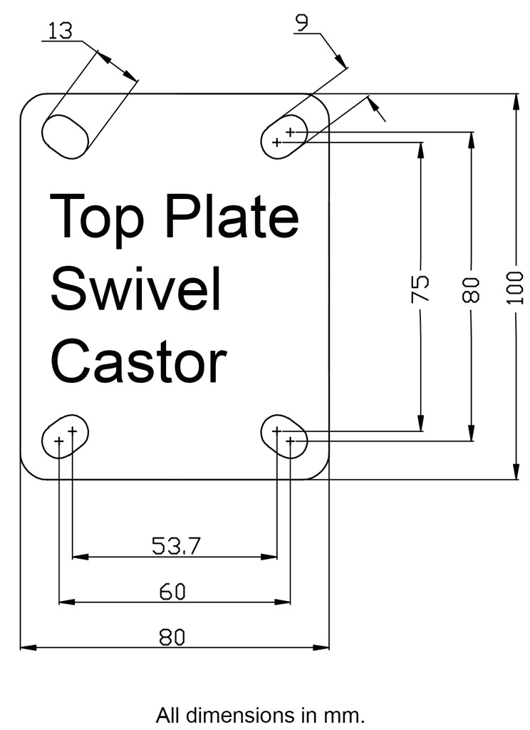 300 Series 100mm swivel top plate 100x80mm - Plate drawing
