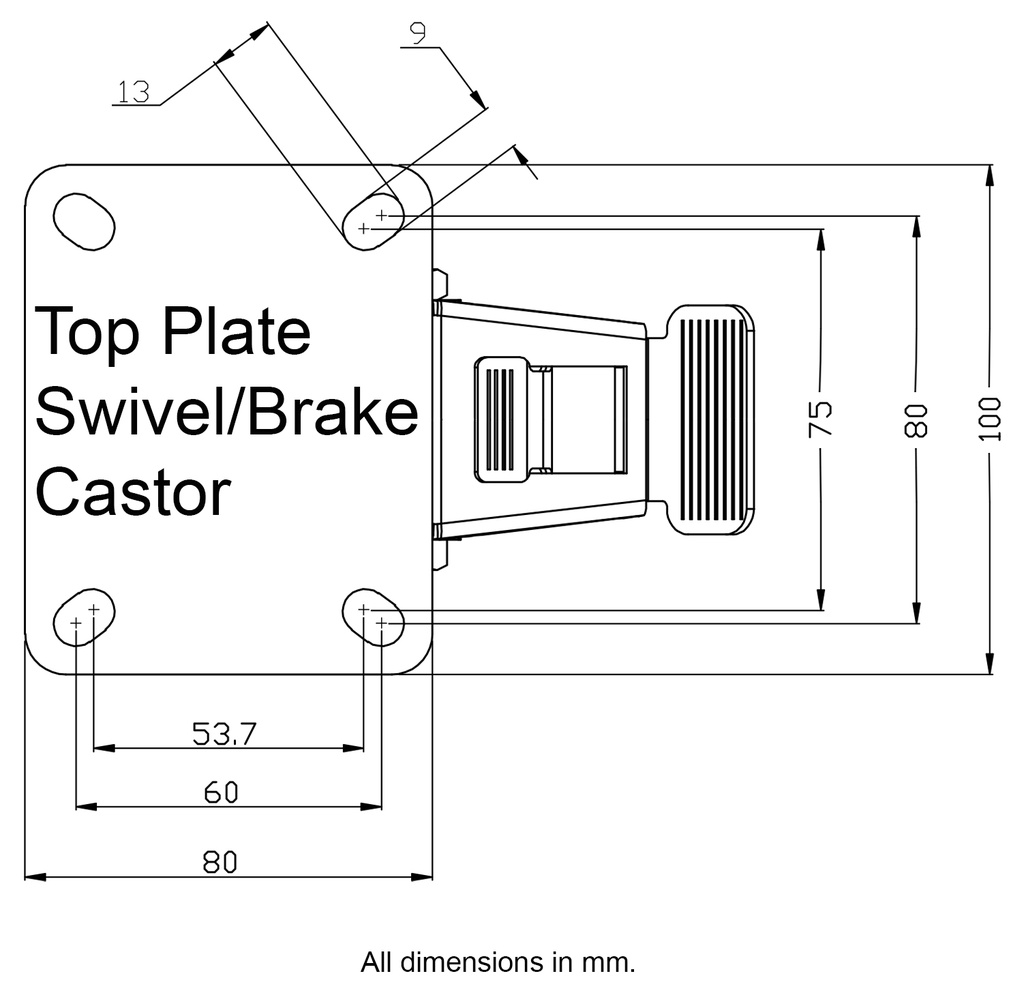 300 series 100mm swivel/brake top plate 100x80mm - Plate drawing