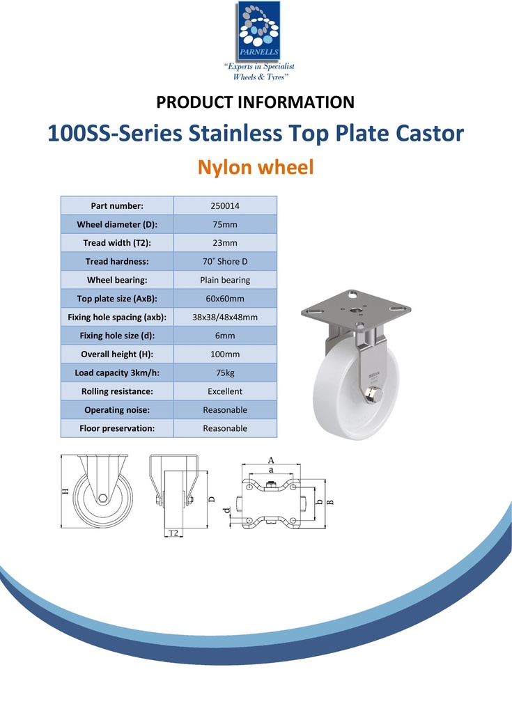100SS series 75mm stainless steel fixed top plate 60x60mm castor with nylon plain bearing wheel 75kg - Spec sheet