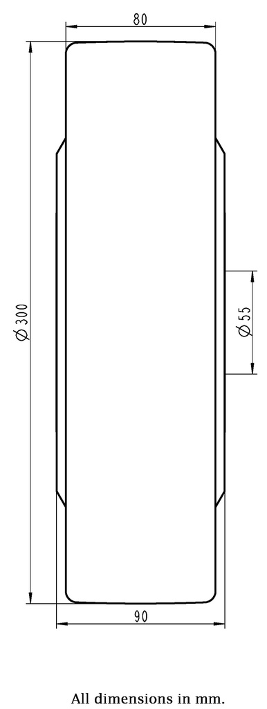 Wheel series 300mm cast nylon 55mm bore hub length 90mm ball bearing 7000kg - Wheel dimensions