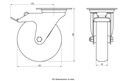 300SS series 125mm stainless steel swivel/brake top plate 100x85mm castor with grey TPR-rubber on polypropylene centre plain bearing wheel 125kg 
