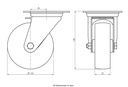 300SS series 100mm stainless steel swivel top plate 100x85mm castor with nylon plain bearing wheel 150kg
