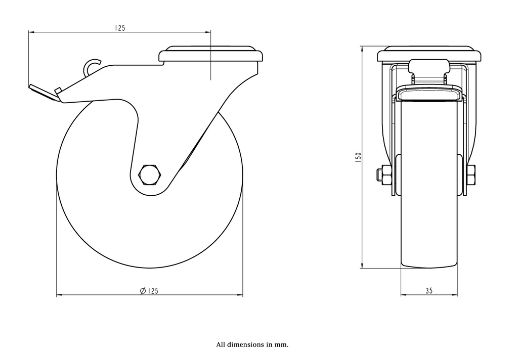 300SS series 125mm stainless steel swivel/brake bolt hole 12mm castor with nylon plain bearing wheel 150kg - Castor dimensions