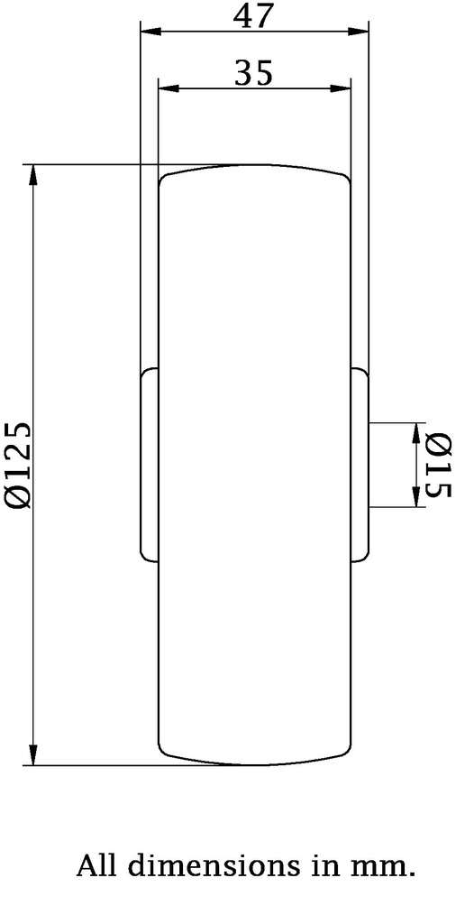 Wheel series 125mm nylon 15mm bore hub length 48mm plain bearing 300kg - Wheel dimensions
