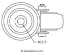 300 series 100mm swivel bolt hole 12,5mm - Plate dimensions