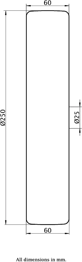 Dimensions for 1010273.webp