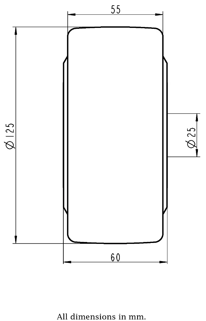 Dimensions for 984345.webp