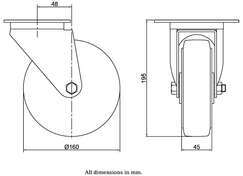 Dimensions for 991430.webp