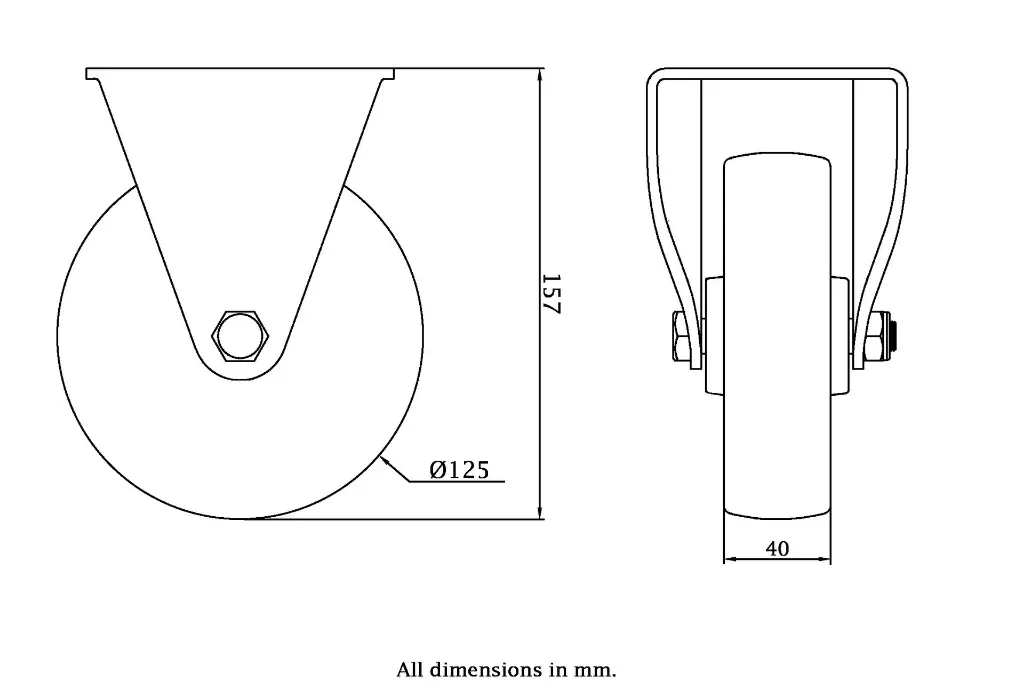 Dimensions for 989794.webp