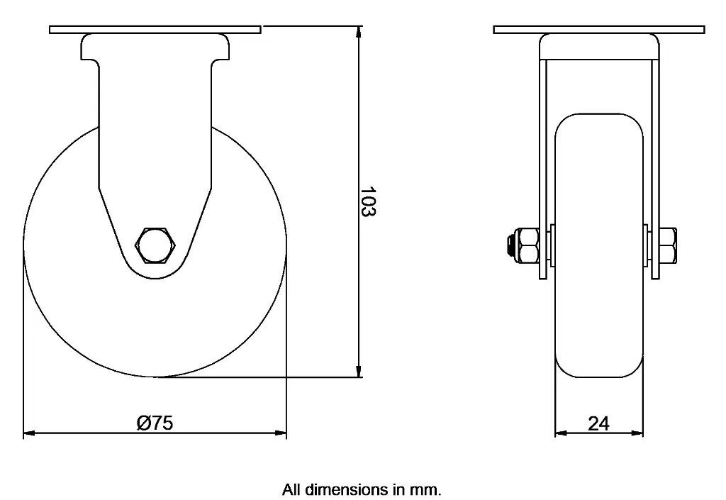 Dimensions for 968738.webp