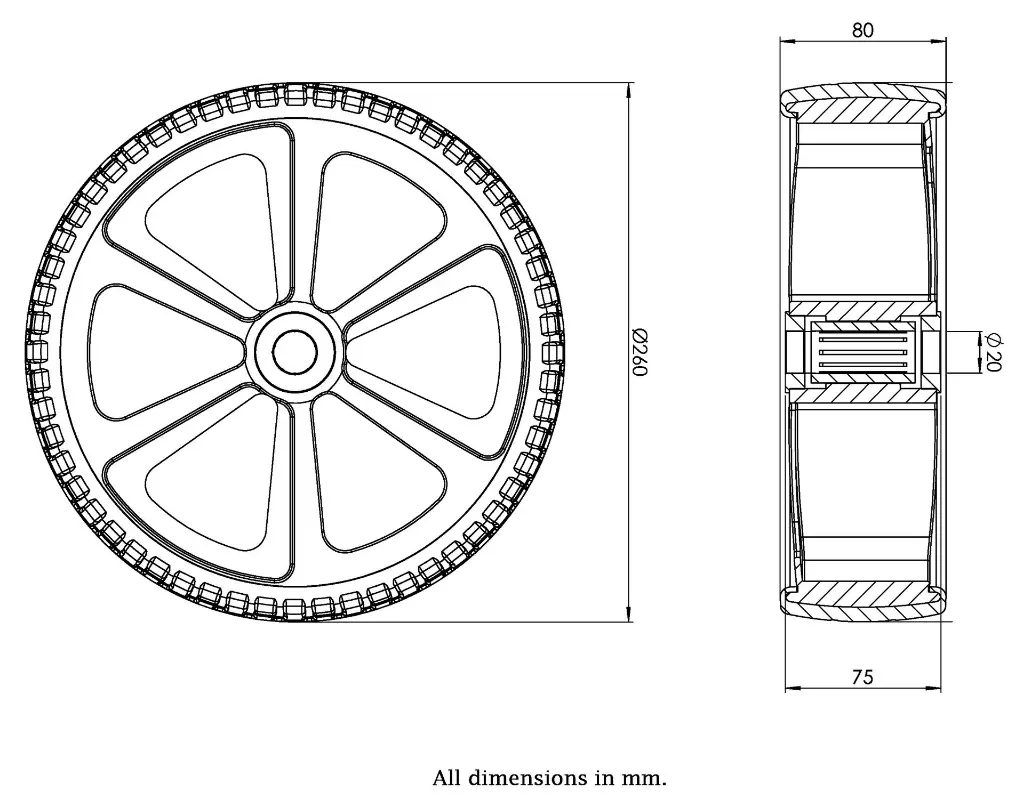 Dimensions for 1010554.webp