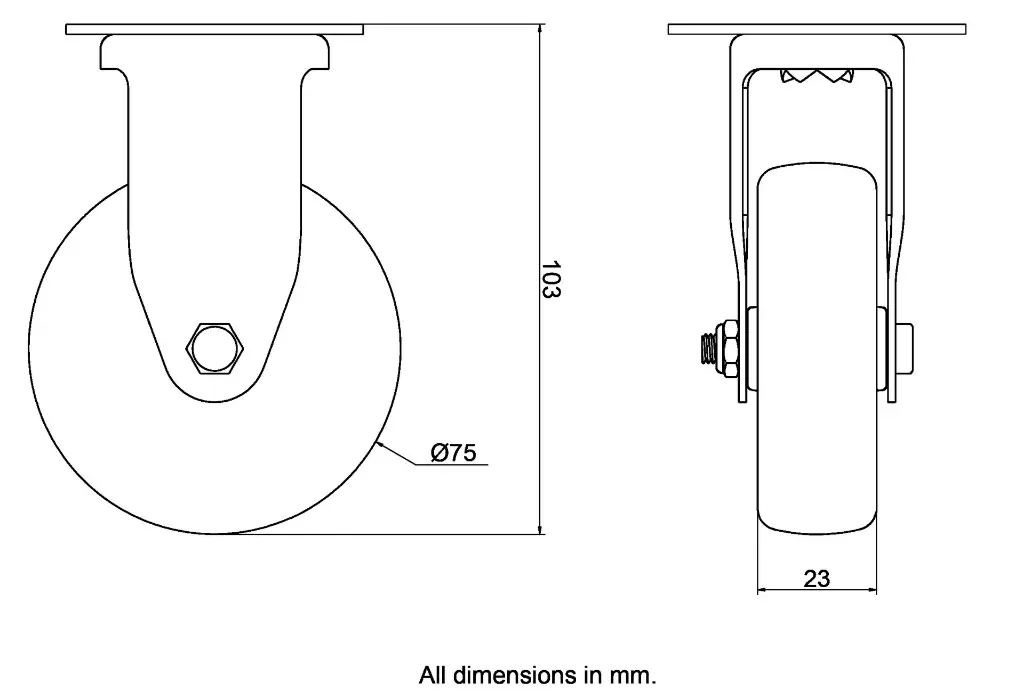 Dimensions for 983519.webp