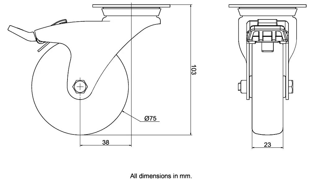 Dimensions for 983565.webp