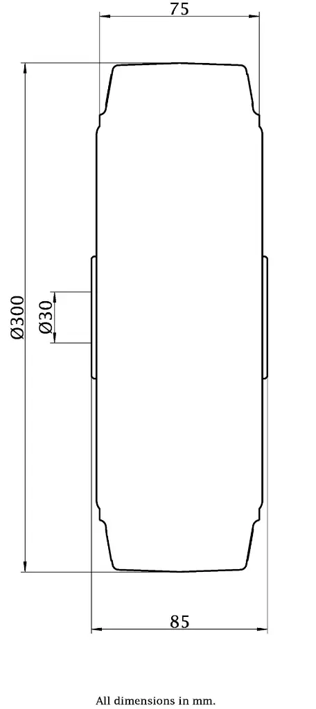Dimensions for 246790.webp