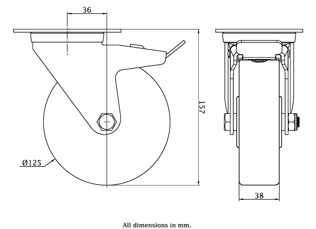 Dimensions for 980707.webp