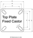 100SS series 50mm stainless steel fixed top plate 60x60mm castor with grey TPR-rubber on polypropylene centre plain bearing wheel 40kg