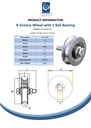 120mm Round groove wheel with 16.5mm groove 1 ball bearing Spec Sheet