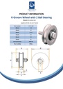 120mm Round groove wheel with 2 ball bearing Spec Sheet
