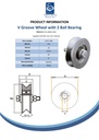 120mm V-groove wheel with 2 ball bearing Spec Sheet