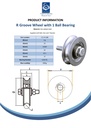 120mm Round groove wheel with 20.5mm groove 1 ball bearing Spec Sheet