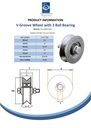 140mm V Groove wheel 2 ball bearing Spec Sheet