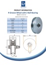 160mm Round groove wheel 20.5mm groove 2 ball bearing - Spec sheet