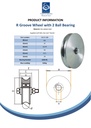 200mm Round groove wheel 20.5mm groove 2 ball bearing - Spec sheet