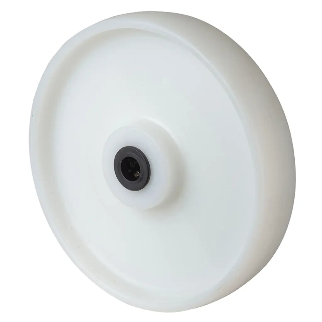 B10.251 Wheel series 250mm nylon 20mm bore hub length 60mm roller bearing 700kg