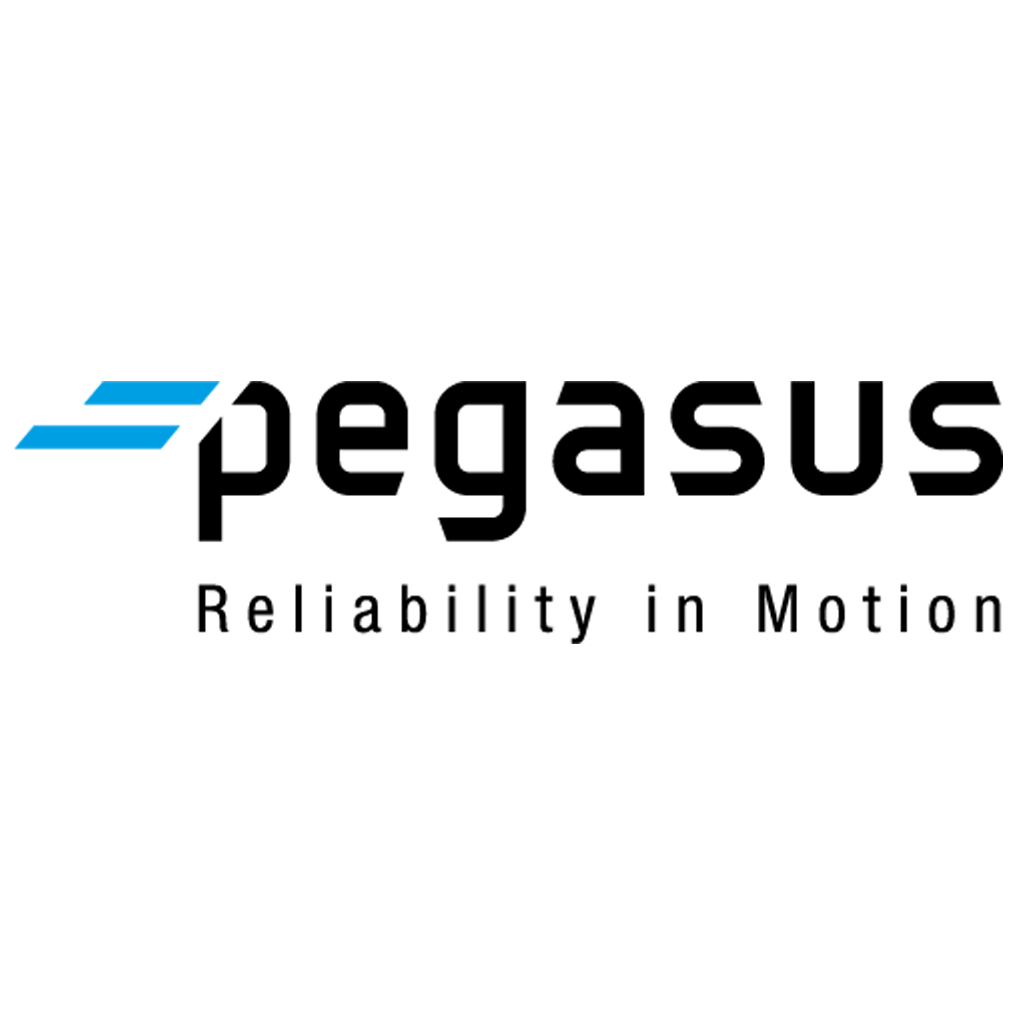 Brand: Pegasus